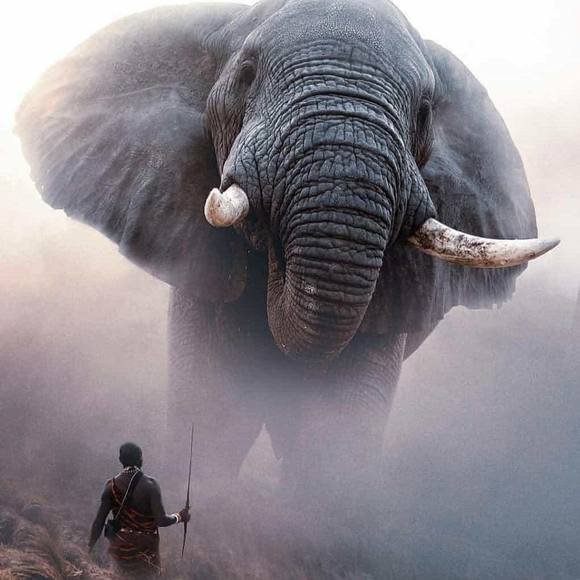 Meet your Posher, Piper - Picture 1 of 1